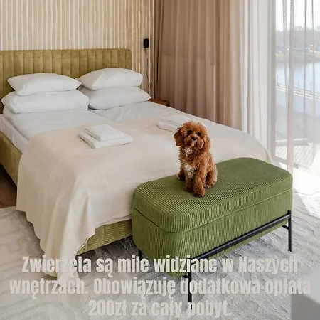 Sunny Surfingbird Apartman *