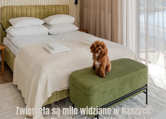 Sunny Surfingbird Apartman *