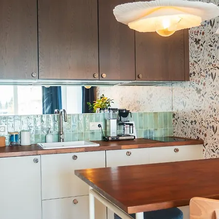 Sunny Surfingbird * كولوبرزيغ