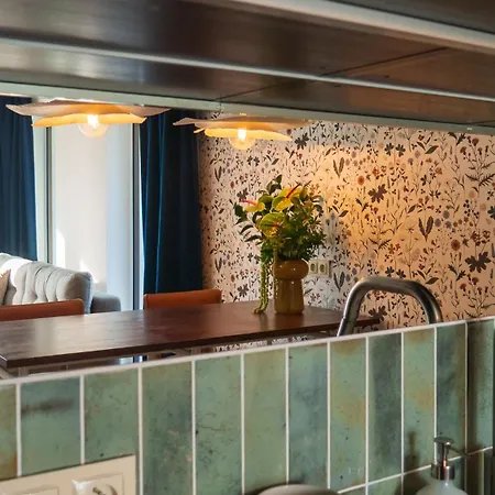 Sunny Surfingbird * كولوبرزيغ