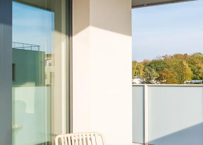 Sunny Surfingbird Kołobrzeg